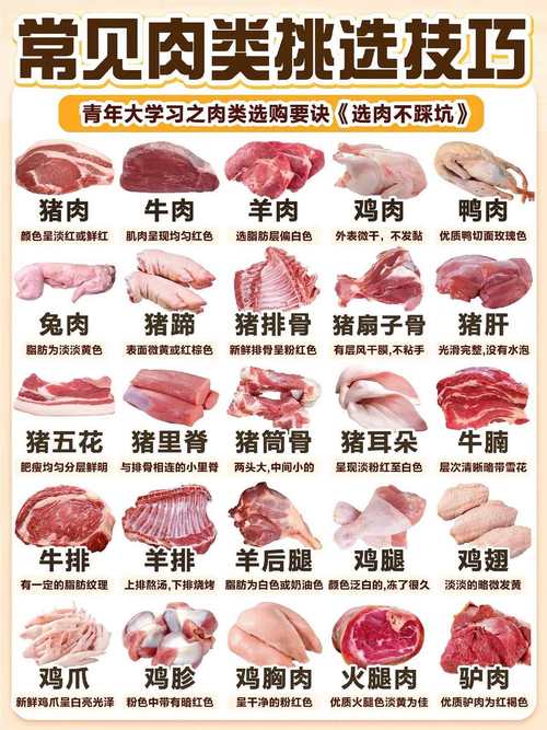 肉类行业政策将如何影响市场与消费者?