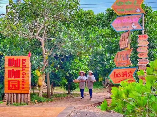 海南农家乐政策支持有哪些具体措施?