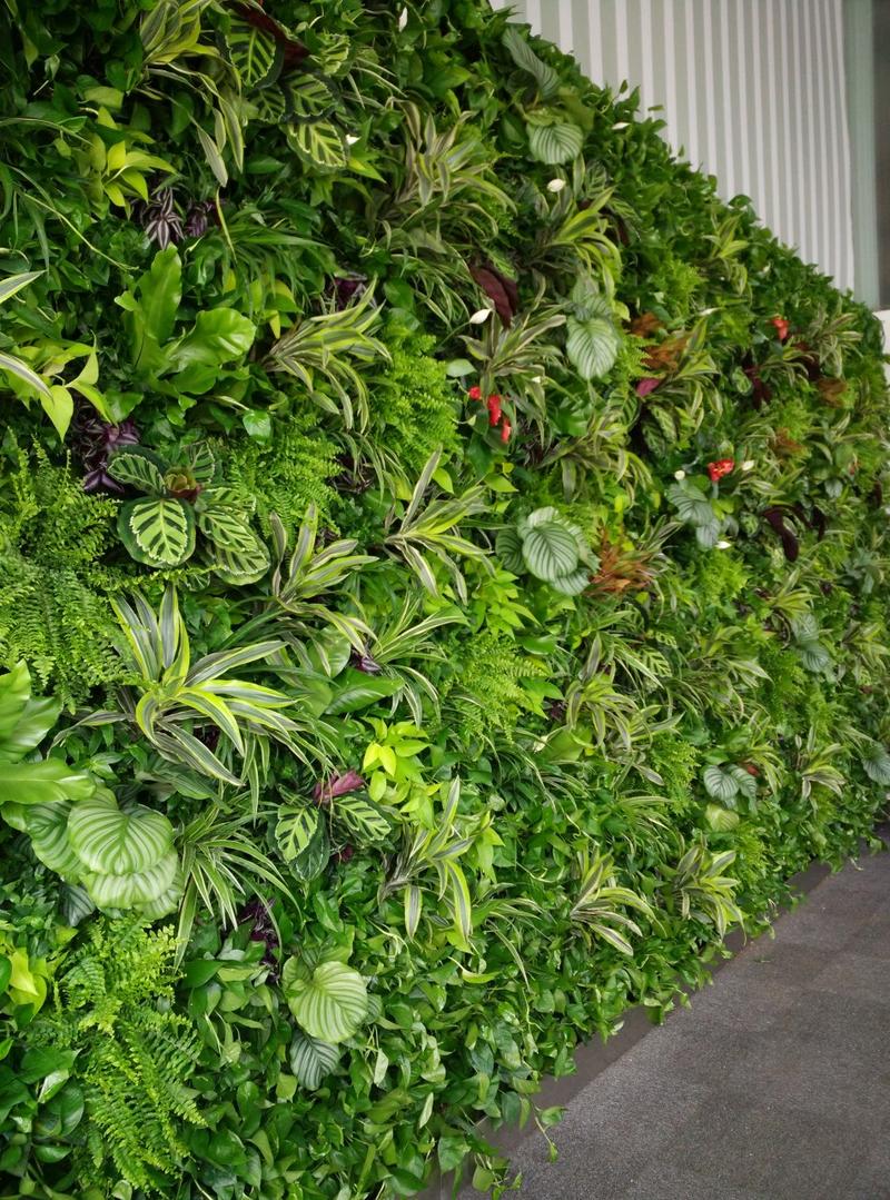 现代植物墙市场前景究竟如何?